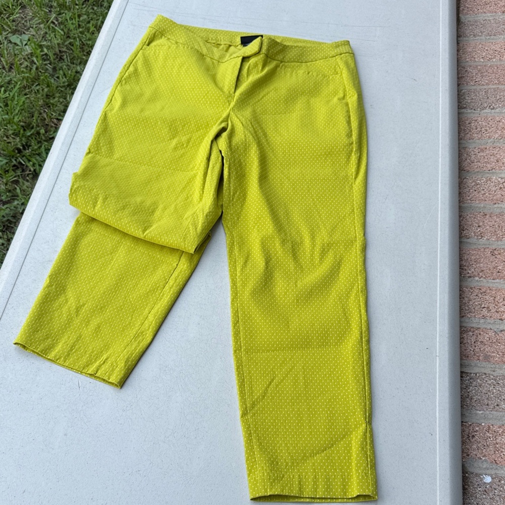 Lane Bryant strech pants